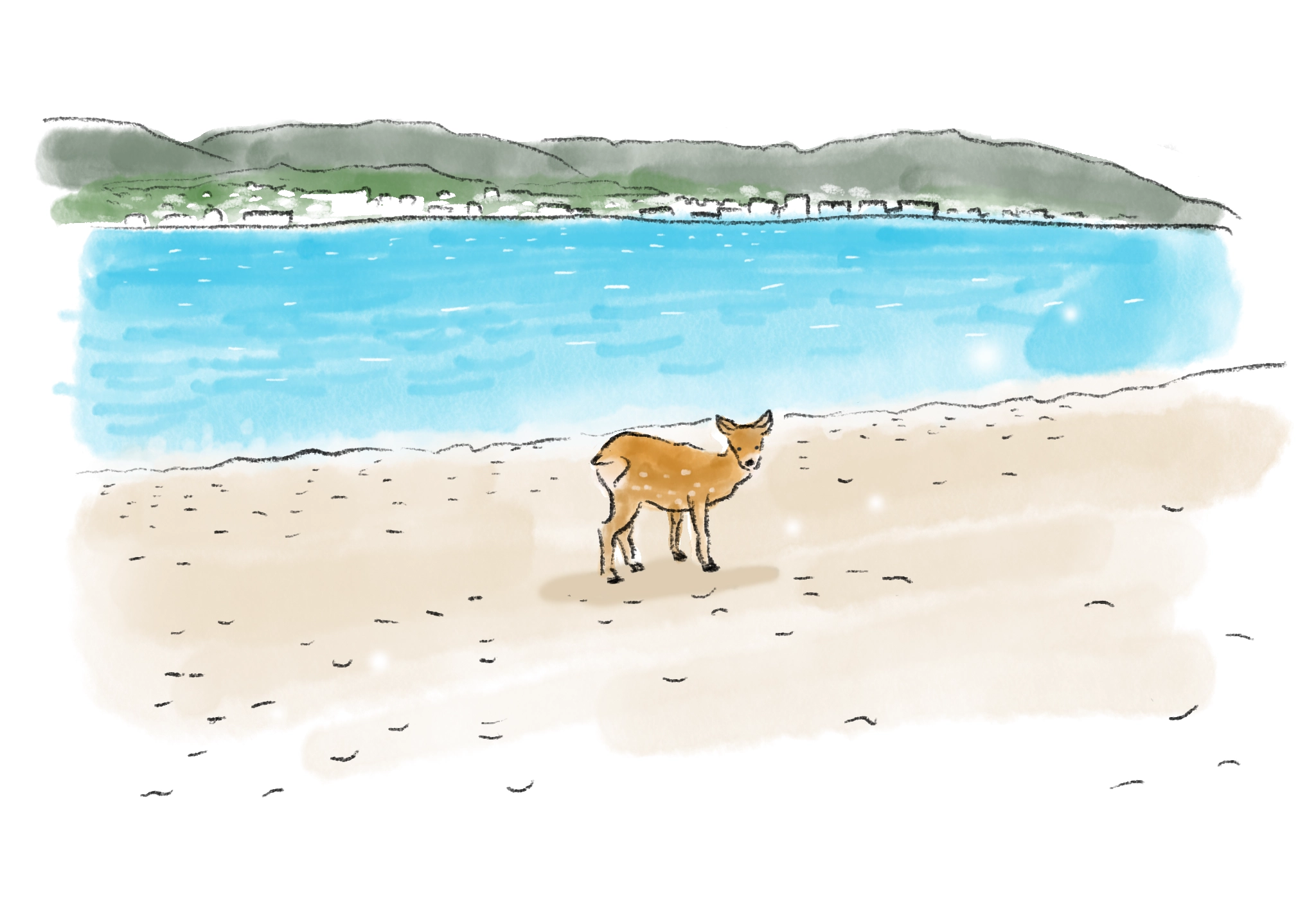 サク、サクと音を鳴らし、ビーチをゆったりと鹿が歩く。海を越えて訪れた娘さんが教えてくれた宮島の風景 