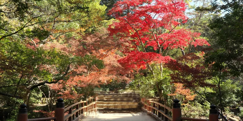 四季の記録